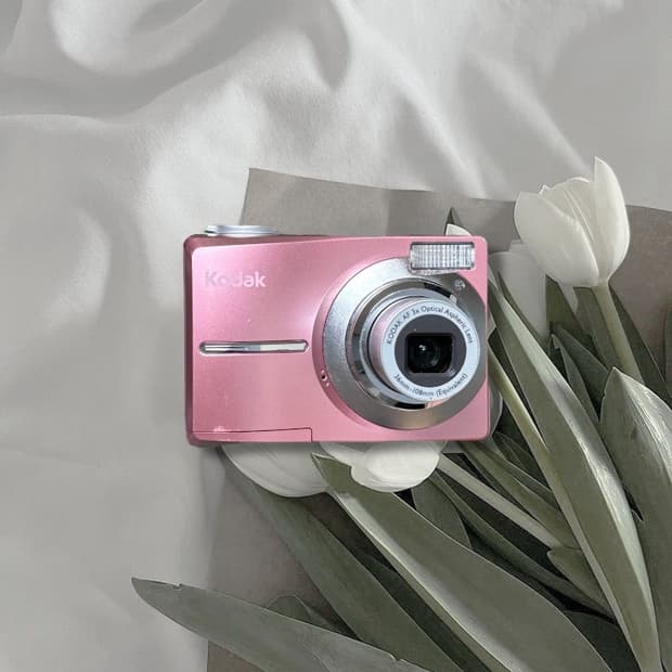 카리나‘s최애) 코닥 이지쉐어 C713 디카 빈티지 캠코더 캐논 니콘