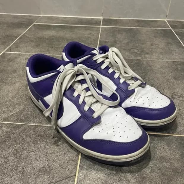 나이키 덩크 퍼플 270