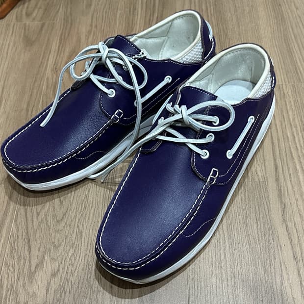 비즈빔 호크니 퍼플