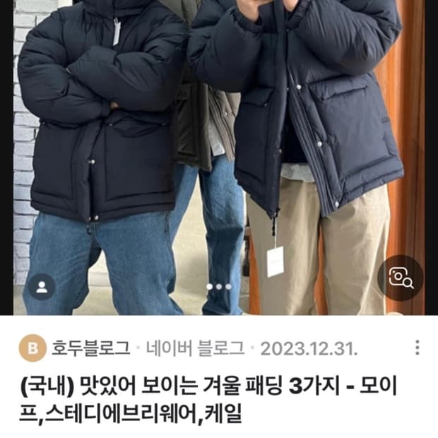 스테디에브리웨어 구스다운