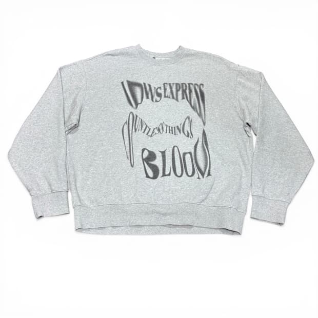 2 L IDWS 아이돈워너셀 그레이 그래픽 맨투맨