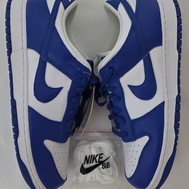 나이키 덩크 로우 켄터키 300 새 제품