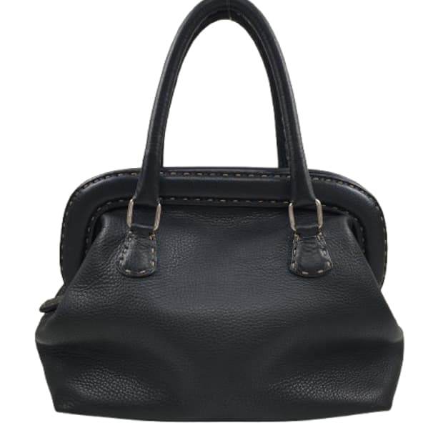 펜디 셀러리아 닥터백