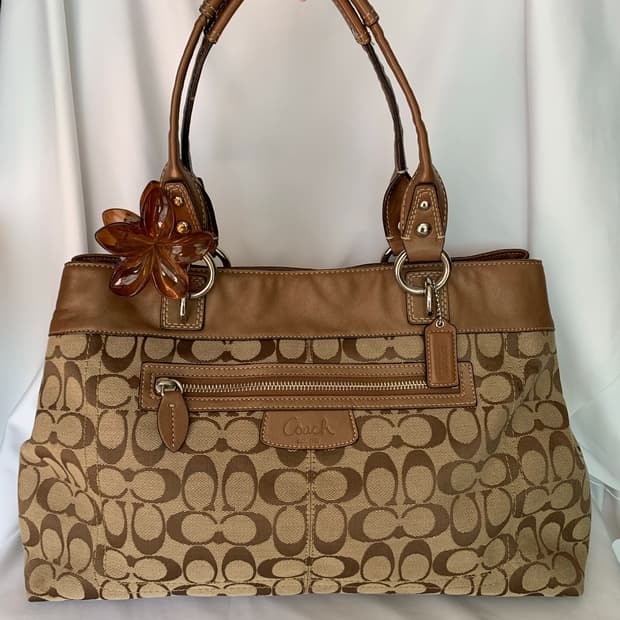 기본템 👜 Coach 브라운 숄더백