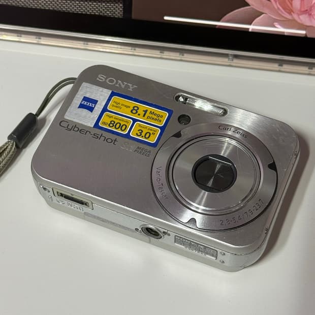 소니 dsc-n1