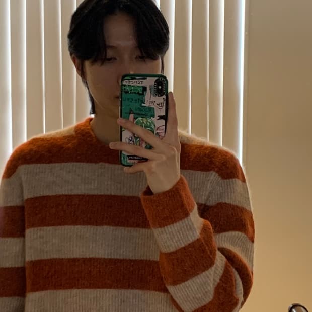 COS (코스) 시즌6 f/w 스트라이프 니트 L