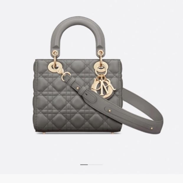 디올 레이디백 스몰