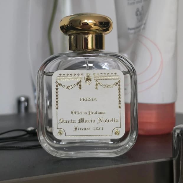 산타마리아노벨라 프리지아 50ml 신세계 백화점 구매 정문택