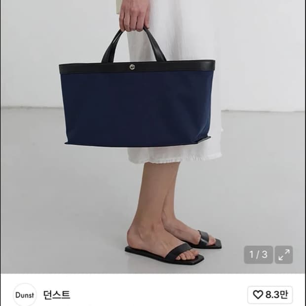 던스트 캔버스 레더 토트백