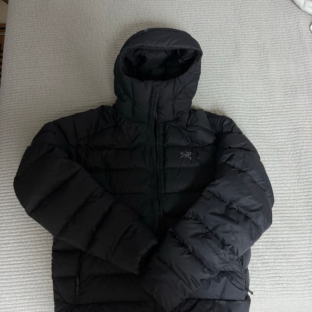 아크테릭스 토륨 후디 L