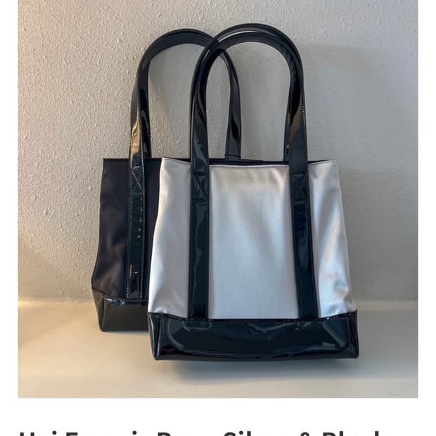 Hai fransis bag silver 하이 프란시스 백 실버