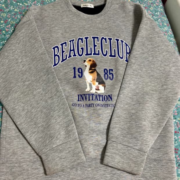 무신사 비글클럽 1985 강아지 맨투맨 그레이