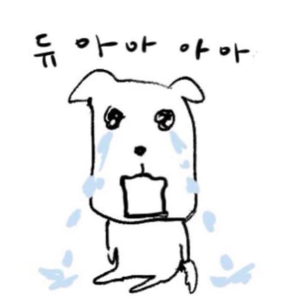 삽니다) 사파리스팟 지갑 블랙