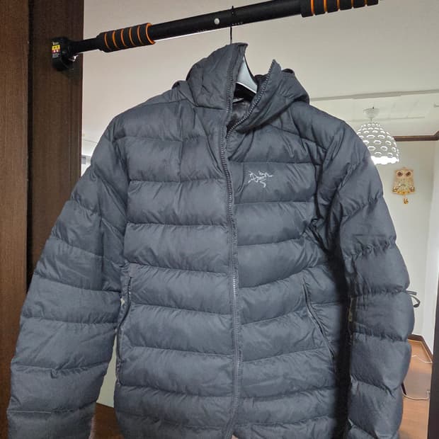 아크테릭스 토륨 AR 후디 남성 L 글리치색상