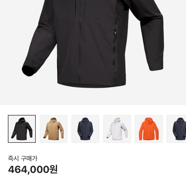 아크테릭스 감마 라이트웨이트 후디