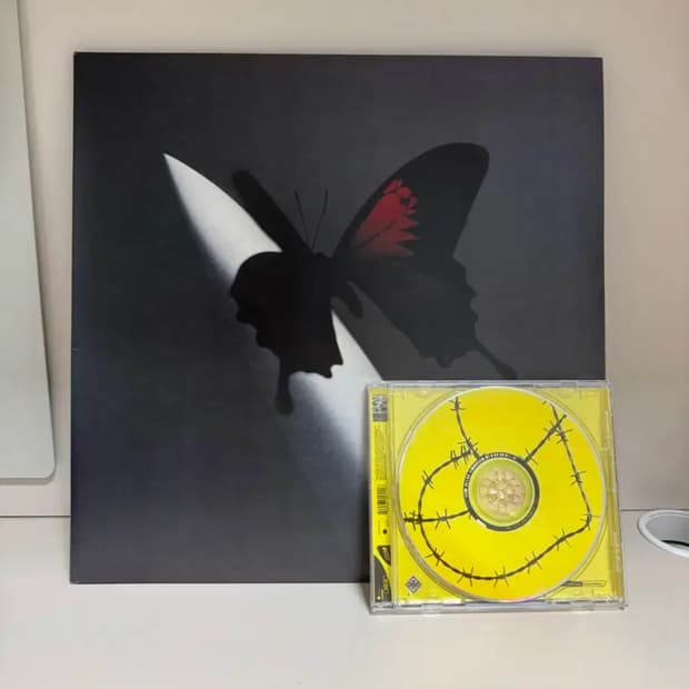 포스트 말론 LP, CD 일괄 판매