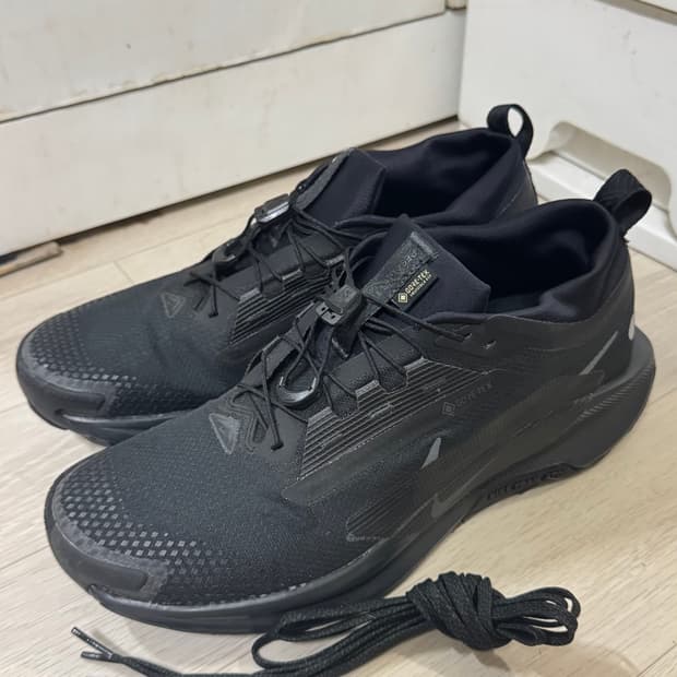 나이키 페가수스 트레일 5 고어텍스 블랙 280mm