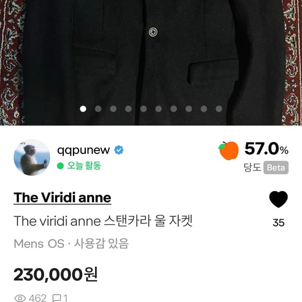 The viridi anne 스텐 카라 울 자켓