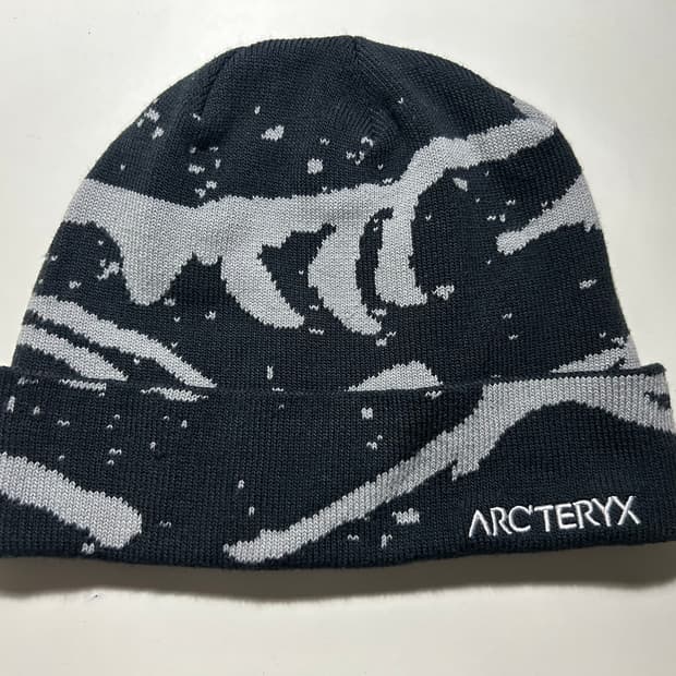 아크테릭스 비니