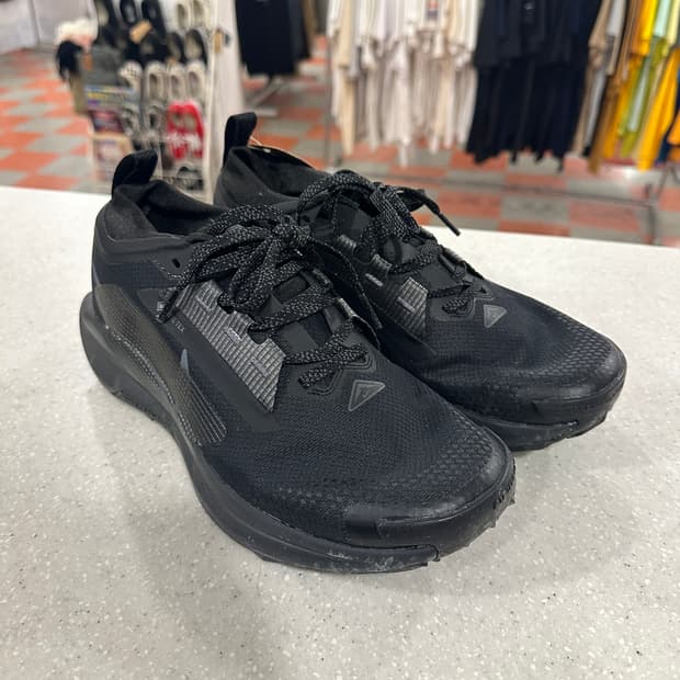 나이키 페가수스 트레일