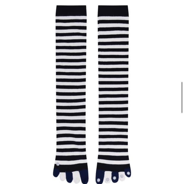 구함** 코이세이오 STRIPE FIVE-TOE SOCKS