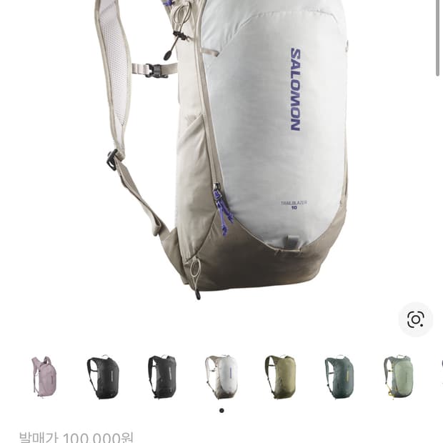 살로몬 트레일블레이저 10 그레이