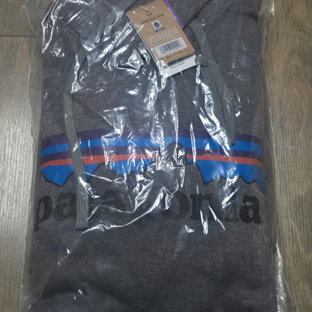 파타고니아 후드티