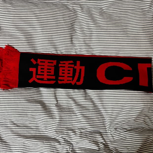 고샤루브친스키 머플러