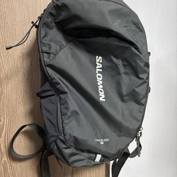 살로몬 트레일블레이저 10
