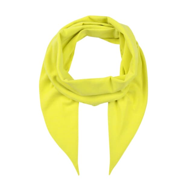 리젤서비스 스카프 라임옐로우 구매합니다