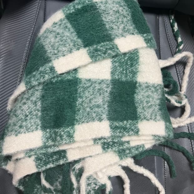 자라 머플러 그린 체크