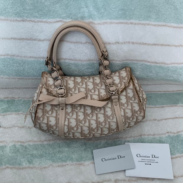 디올 로맨틱 오블리크 가방