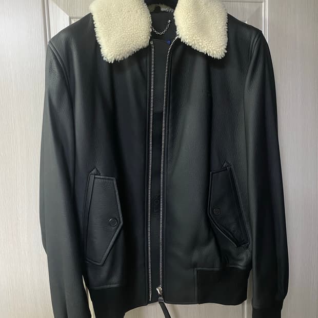 루이비통 사슴 가죽 자켓 무스탕 에비에이터