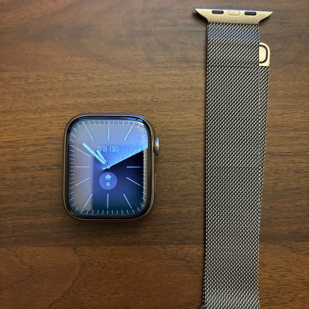 애플워치8 45mm 셀룰러 실버 스테인리스