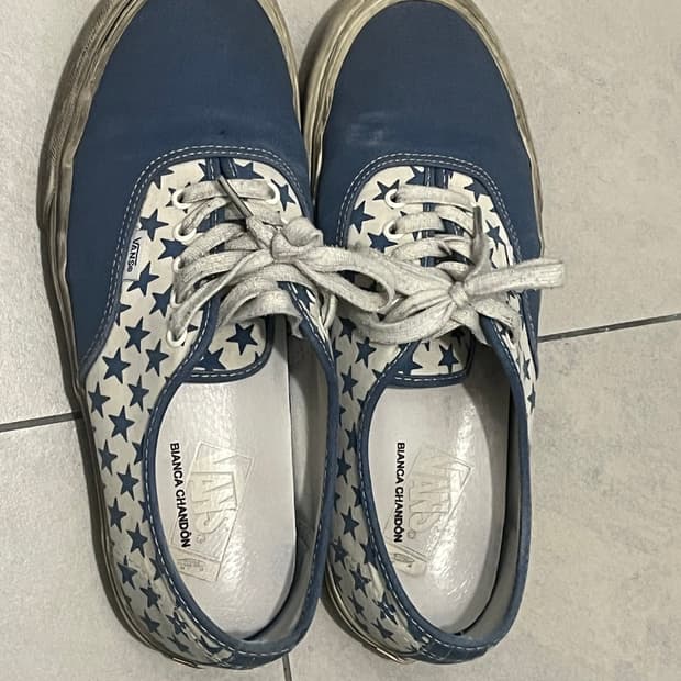 반스 비앙카샹동