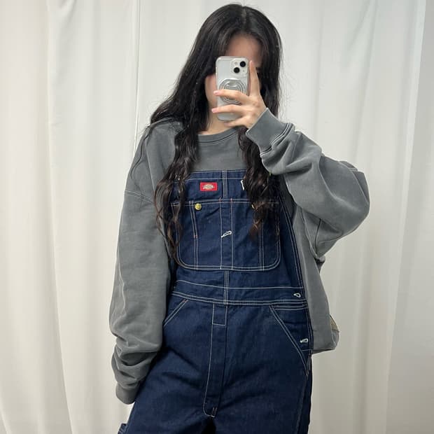 Dickies Denim Overall 