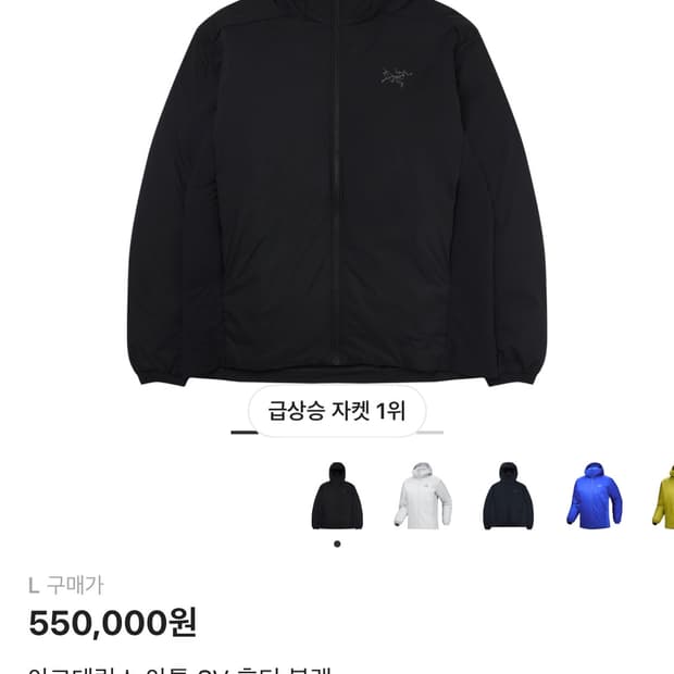 아크테릭스 아톰 sv 후디 블랙