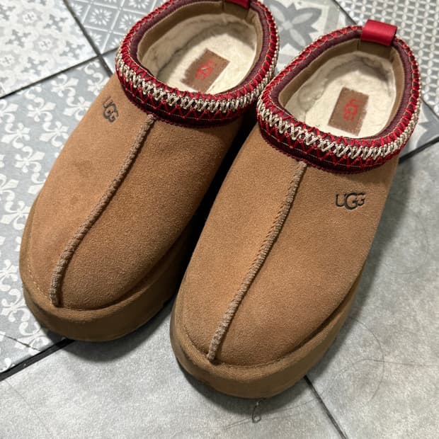 어그 타즈 슬리퍼 체스트넛 6W