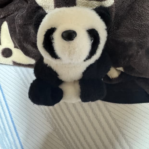 푸바오 인형시계