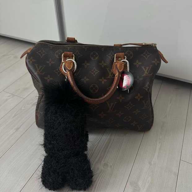 루이비통 스피티 30 정품