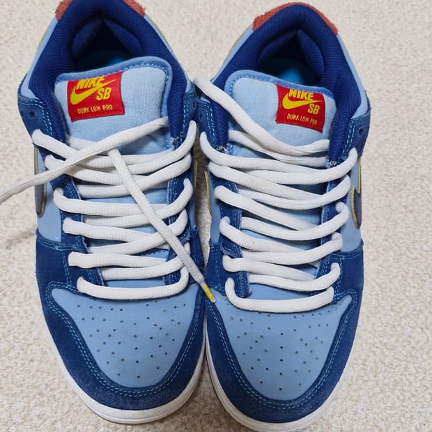 나이키 SB 덩크 로우 프로 블루 260 why not so sad