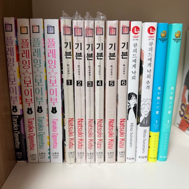 bl 만화책