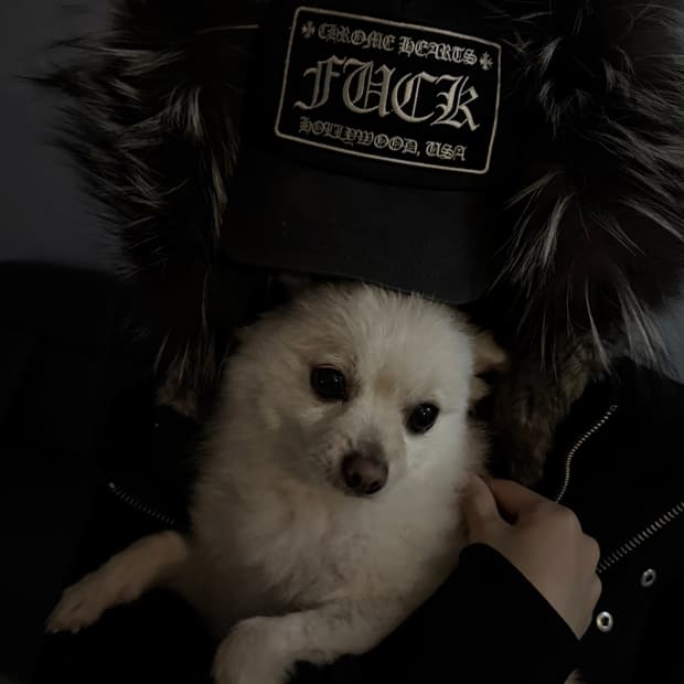 크롬하츠 fuck 캡 모자