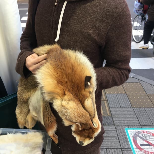 꼼데가르송 옴므 플러스 울 니트집업