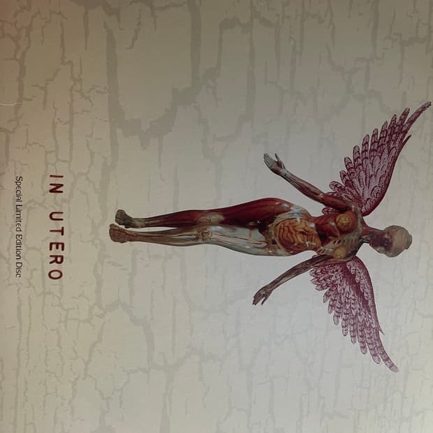 Nirvana In utero LP 1993 오리지널 프레싱