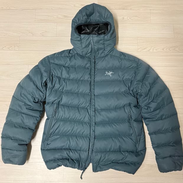 [L] 아크테릭스 토륨 AR 후디