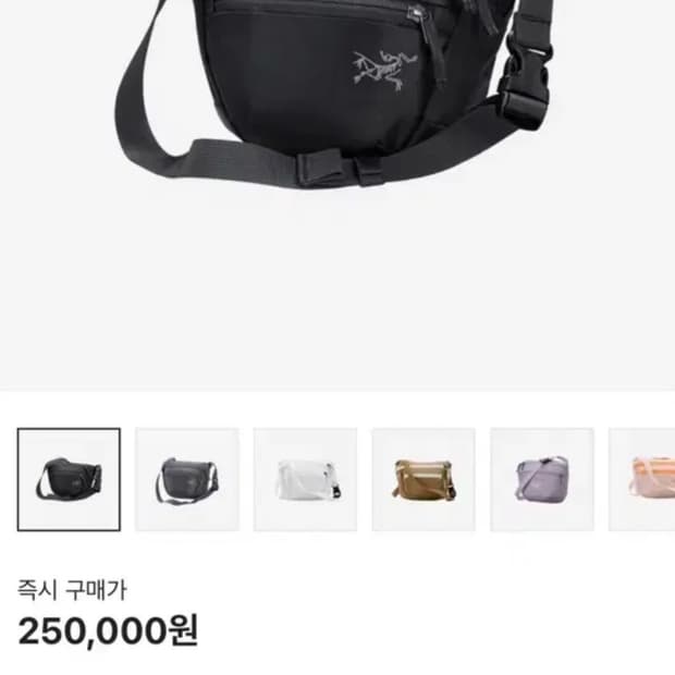 아크테릭스 맨티스 2 웨이스트백 블랙