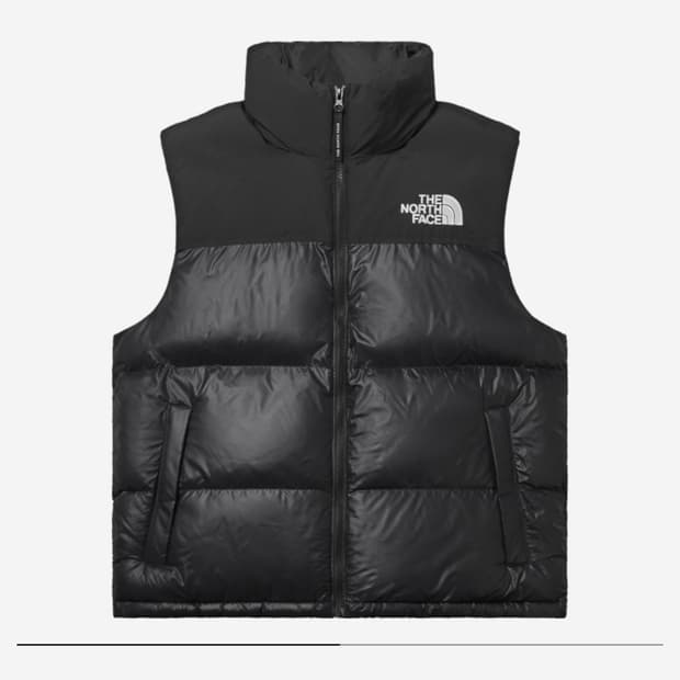 노스페이스 패딩 조끼 눕시