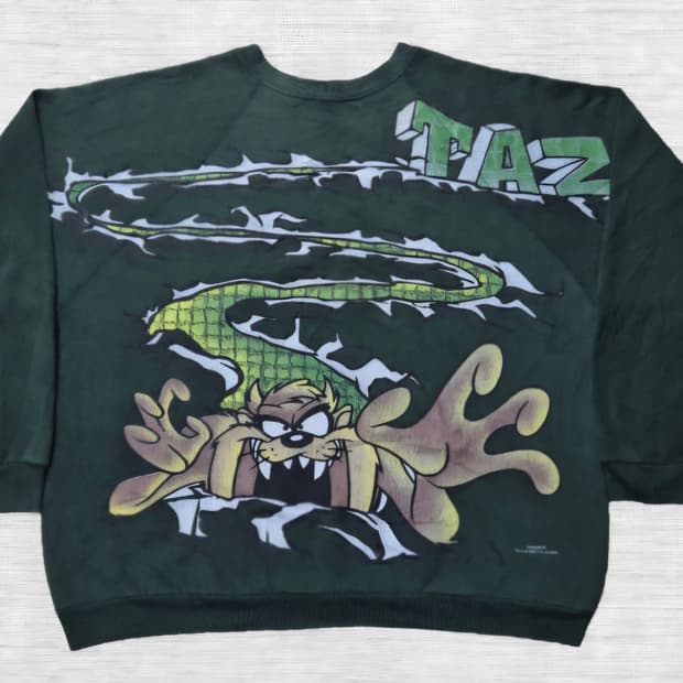 90s 워너브로스 테즈 스웻