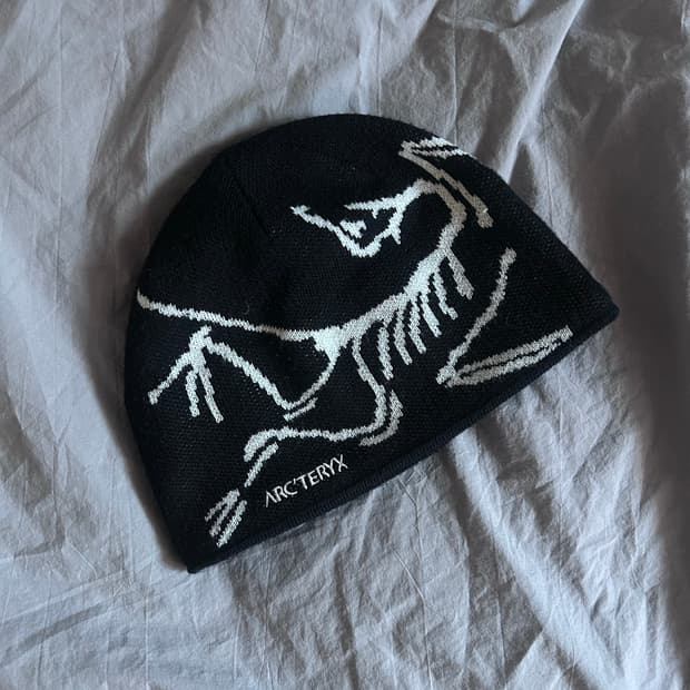 아크테릭스 버드 헤드 토크 오르카 비니